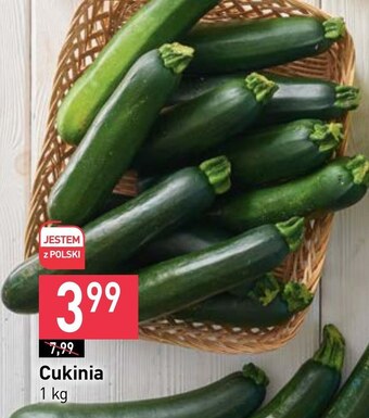 Stokrotka Market Cukinia oferta