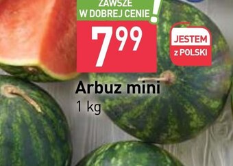 Stokrotka Arbuz oferta