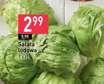 Stokrotka Sałata oferta