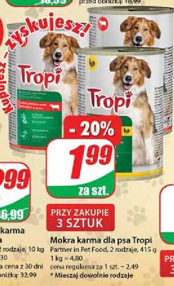 Dino Karma dla psa z kurczakiem oferta