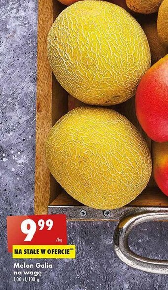 Biedronka Melon Galia 1kg oferta