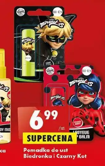 Biedronka Pomadka do ust Biedronka i Czarny Kot oferta
