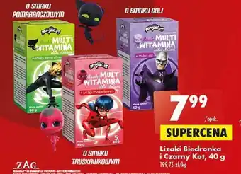 Biedronka Lizaki Biedronka i Czarny Kot, 40 g oferta