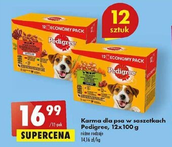 Biedronka Karma dla psa w saszetkach Pedigree, 12x100 g oferta