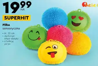 Biedronka Piłka sensoryczna oferta