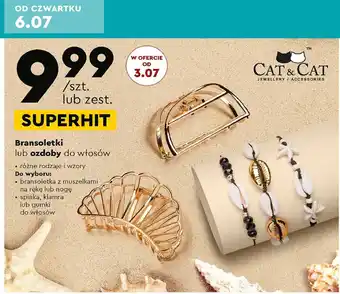 Biedronka Klamra do włosów oferta