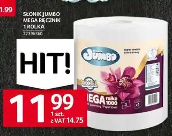 Selgros SŁONIK JUMBO MEGA RĘCZNIK 1 rolka oferta
