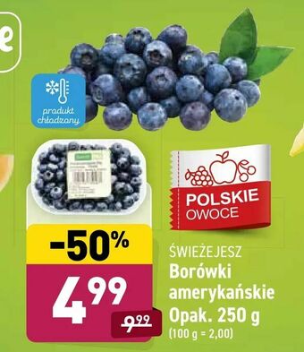 ALDI Borówki amerykańskie oferta