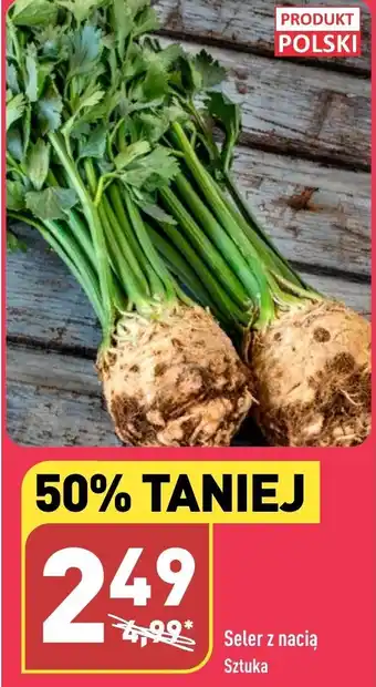 ALDI Seler z nacią oferta
