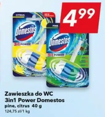 Zawieszka do WC 3in1 Power Domestos 40 g