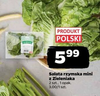 Netto Sałata rzymska mini oferta