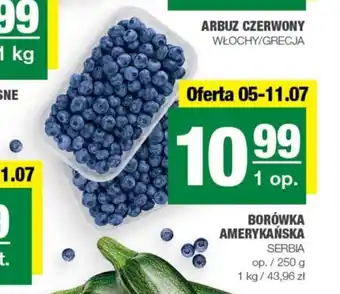 Spar BORÓWKA AMERYKAŃSKA SERBIA 250 g oferta