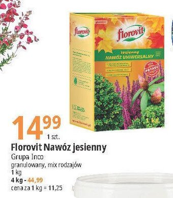 Carrefour Nawóz jesienny uniwersalny 1 SZT 1 KG oferta
