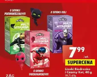 Biedronka Lizak pomarańczowy czarny kot oferta