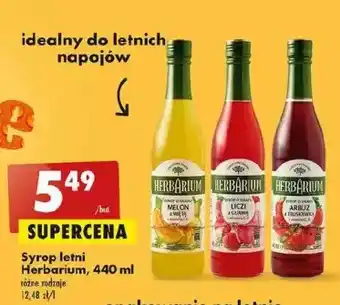 Biedronka Syrop melon z miętą herbarium oferta