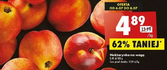 Biedronka Nektarynki oferta