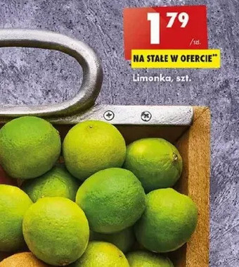 Biedronka Limonka oferta