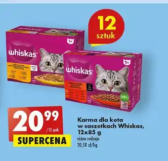 Biedronka Potrawka w galaretce smaki wołowe oferta