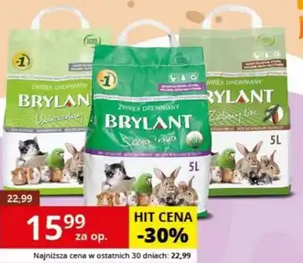 Kakadu Żwirek brylant oferta