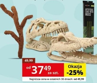 Kakadu Dekoracje do terrarium repti planet oferta