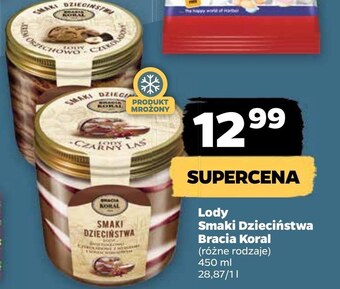 Netto Lody bracia koral oferta