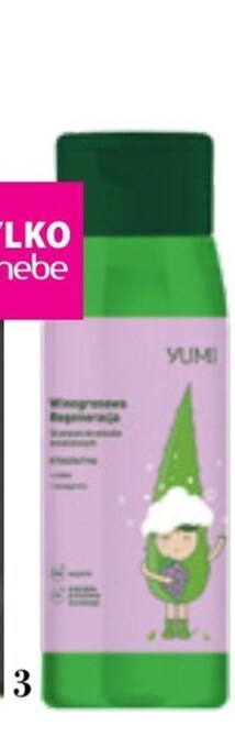 Hebe Szampon hair of the day oferta
