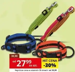 Kakadu Smycz dla psa active dog oferta