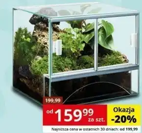 Kakadu Terrarium diversa oferta