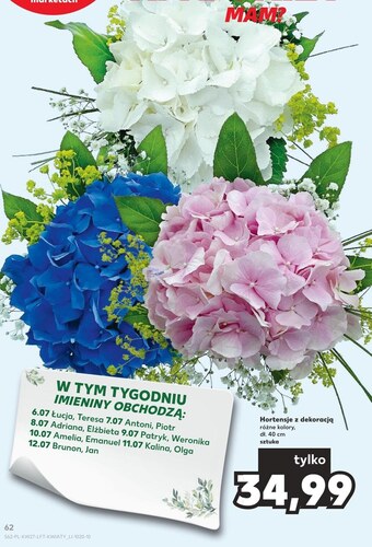 Kaufland Hortensja oferta