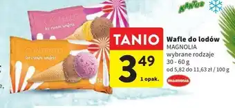 Intermarche Wafle do lodów magnolia oferta