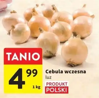 Intermarche Cebula wczesna oferta