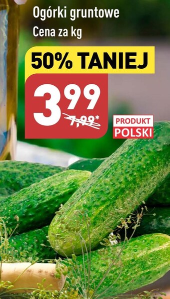 ALDI Ogórki oferta