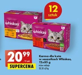 Biedronka Karma dla kota whiskas oferta