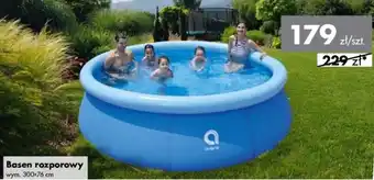 Mrówka Basen oferta