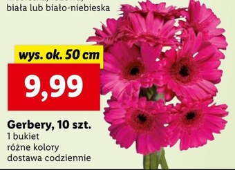 Bukiet kwiatów