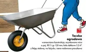 Mrówka Taczka ogrodowa oferta