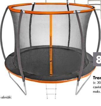 Mrówka Trampolina oferta