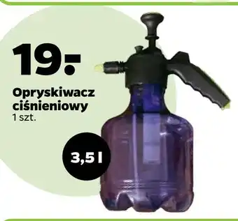 Netto Opryskiwacz ciśnieniowy oferta