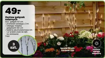 Netto Zestaw gałązek solarnych oferta