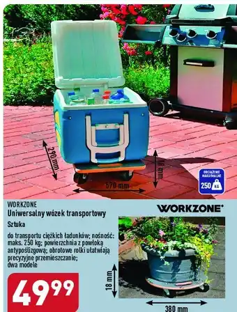 ALDI Wózek transportowy oferta