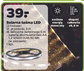 Netto Taśma led 5 m oferta