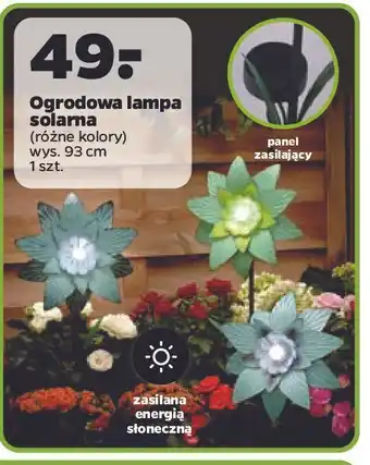 Netto Lampa solarna ogrodowa 93 cm oferta