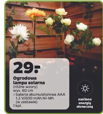 Netto Lampa solarna ogrodowa oferta