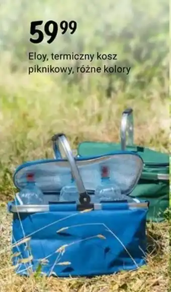 Rossmann Eloy, termiczny kosz piknikowy oferta