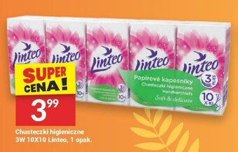 Twój Market Chusteczki higieniczne 3W 10X10 Linteo, 1 opak. oferta