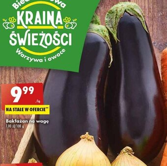 Biedronka Bakłażan 1kg oferta