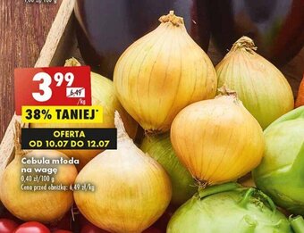 Biedronka Cebula młoda 1kg oferta