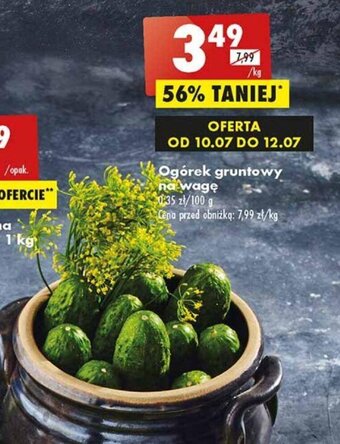 Biedronka Ogórek gruntowy 1kg oferta