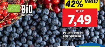 Lidl Polskie borówki amerykańskie 250g oferta