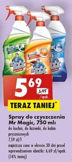 Biedronka Spray do czyszczenia Mr Magic, 750 ml oferta